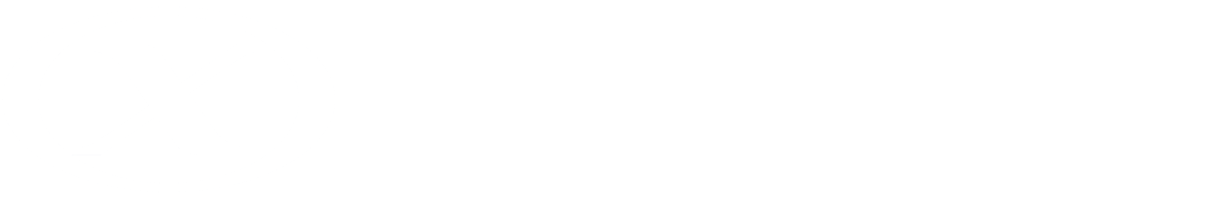 Nexios IT -  logo